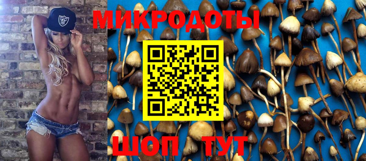 Псилоцибиновые грибы Magic Shrooms Лесной